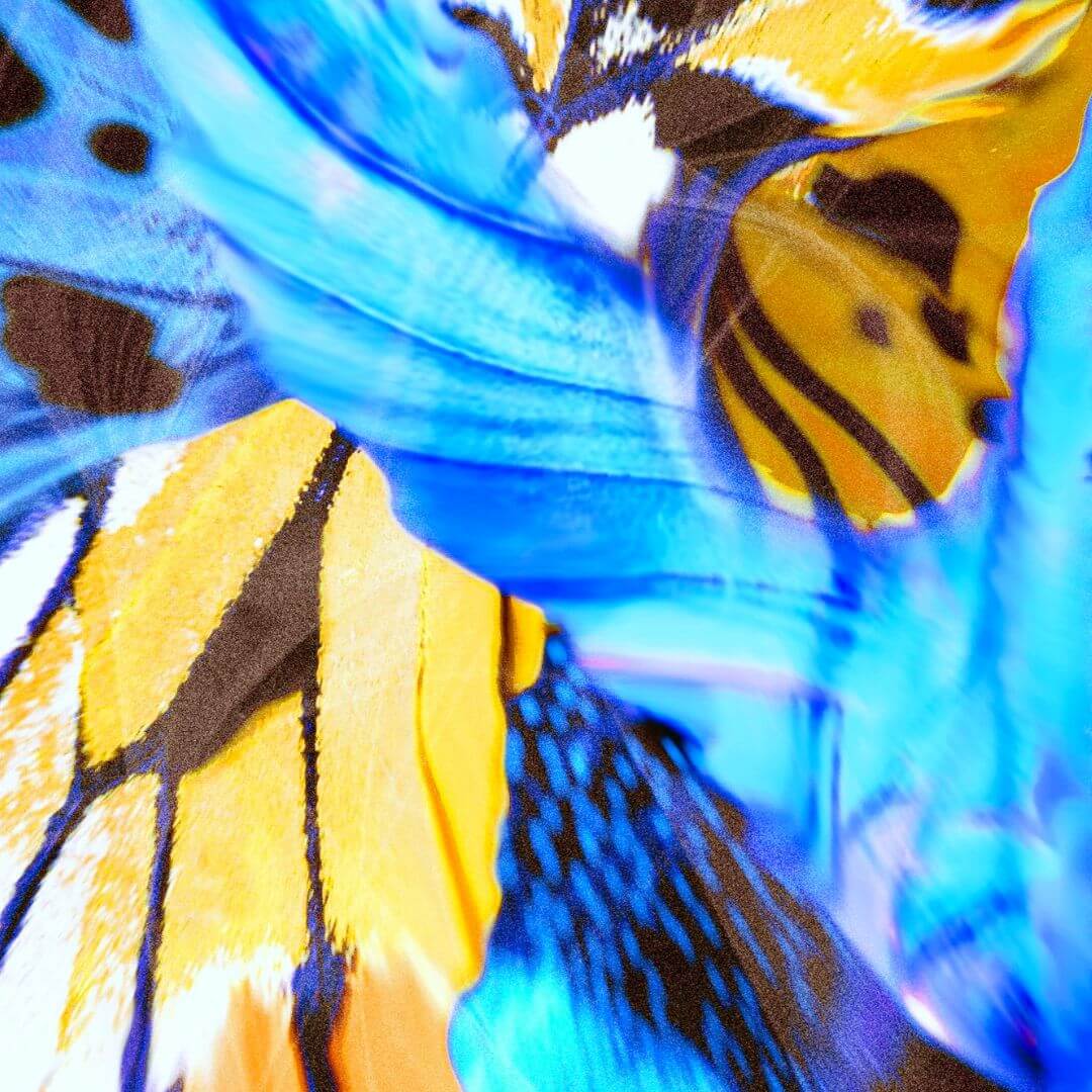 Sarongue feito à mão com tecidos exclusivos - Butterfly